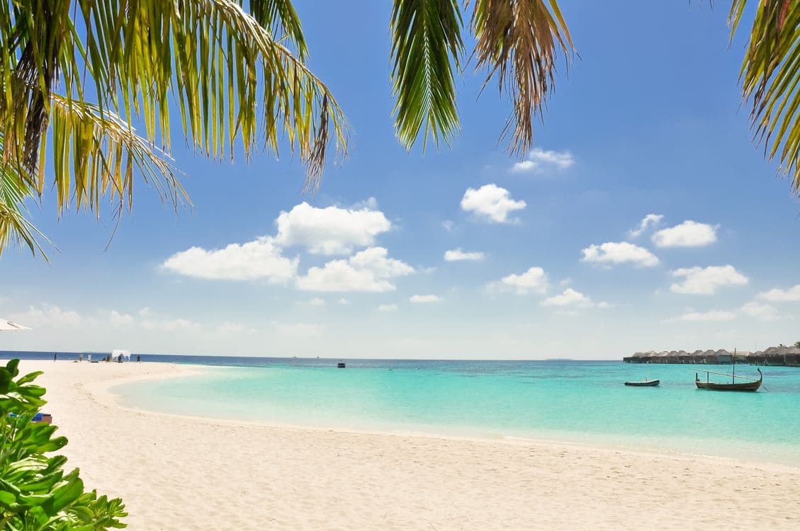 Mauritius vs Cayman: Choosing a Fund and Investment Jurisdiction